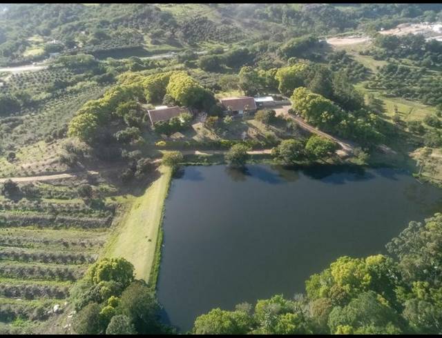 FARM FOR SALE IN LEISURE BAY